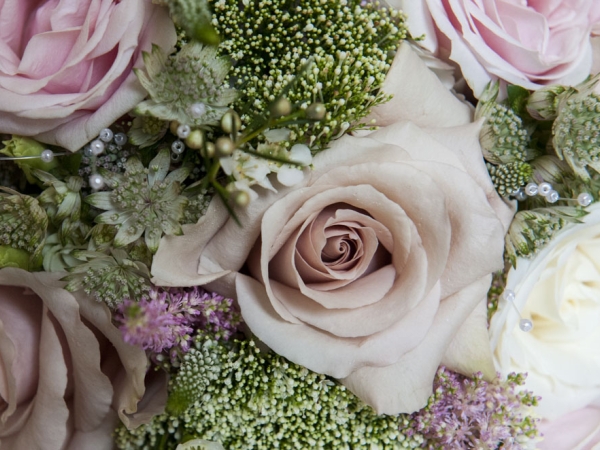 bridal roses pink, staffordshire wedding photographer, alrewas hayes weddings