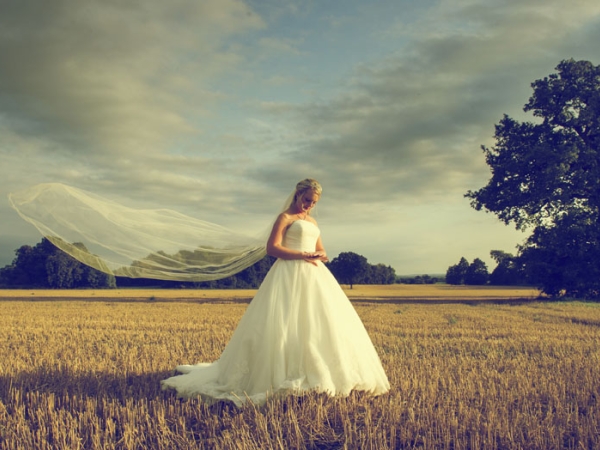 bride field, staffordshire wedding photographer, hoar cross hall weddings