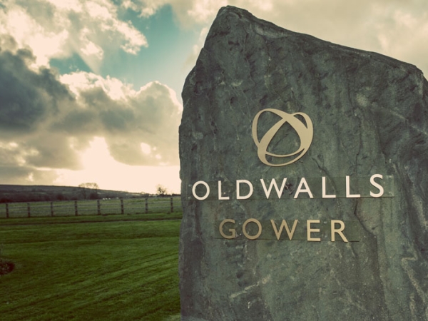 oldwalls gower, wedding photographer in wales