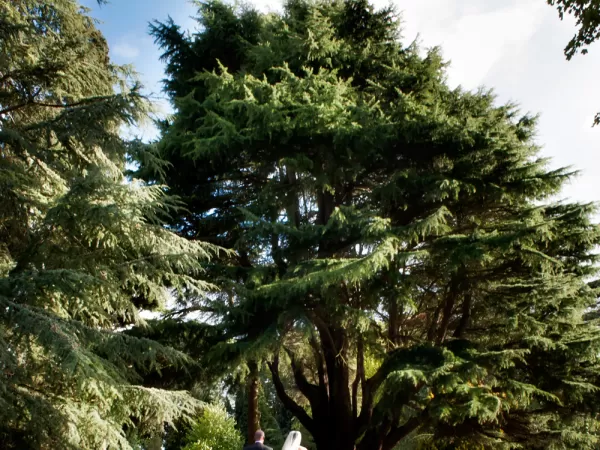 Jon Thorne Wedding Photography