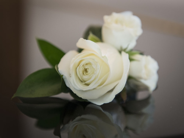 white rose buttonhole, cheshire wedding photographer, sandhole oak barn